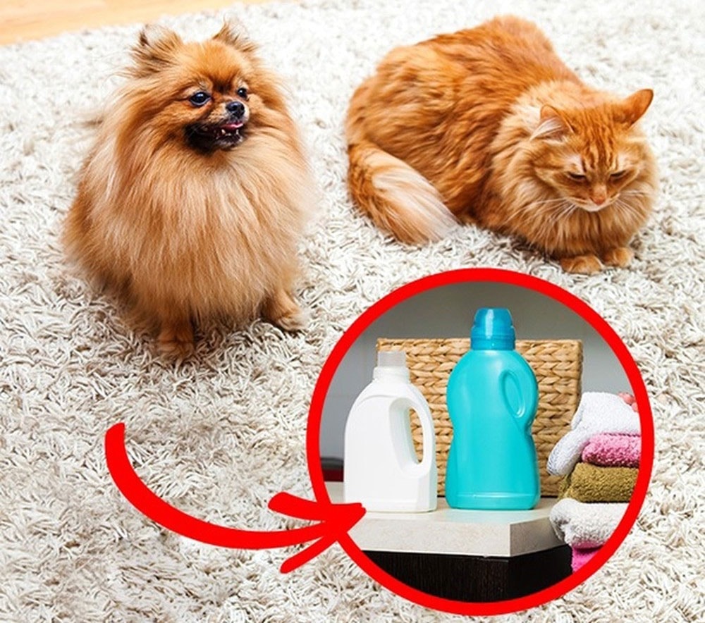 Bảo vệ sức khỏe của bạn: Những nguy cơ từ 8 vị trí bẩn trên xe ô tô