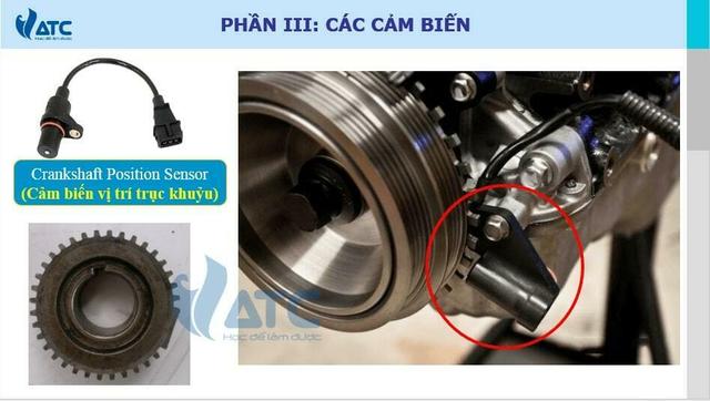 Cảm biến vị trí trục khuỷu – Crankshaft Sensor